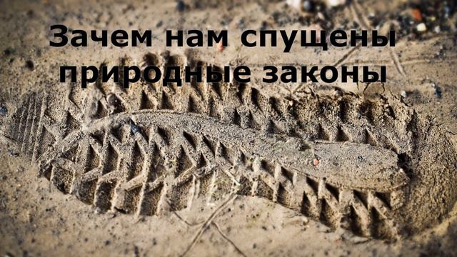 Зачем нам спущены природные законы#эзотерика #теософия смотреть онлайн
