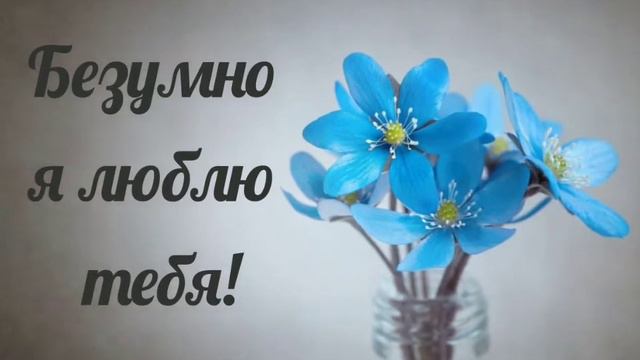 Объяснение в любви Наташе смотреть онлайн