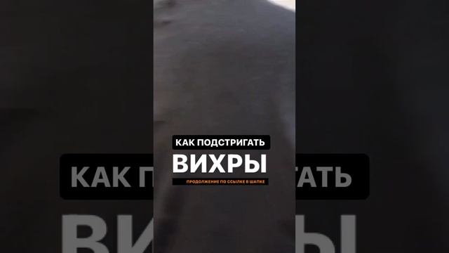 Короткая стрижка смотреть онлайн