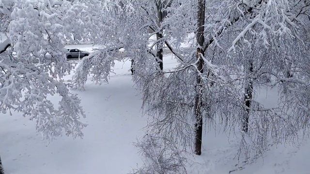 Донецк. 6 февраля 2020