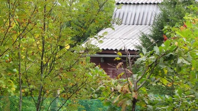 Дачи 80 смотреть онлайн