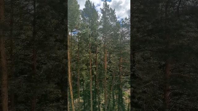 Санаторий "Золотой колос" Некрасовский район смотреть онлайн