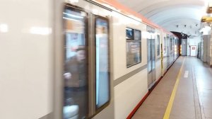 Прибытие метропоезда на станцию Гражданский проспект, Санкт-Петербург
