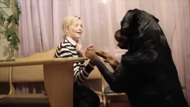 Дай Крафт на счастье лапу мне смотреть онлайн