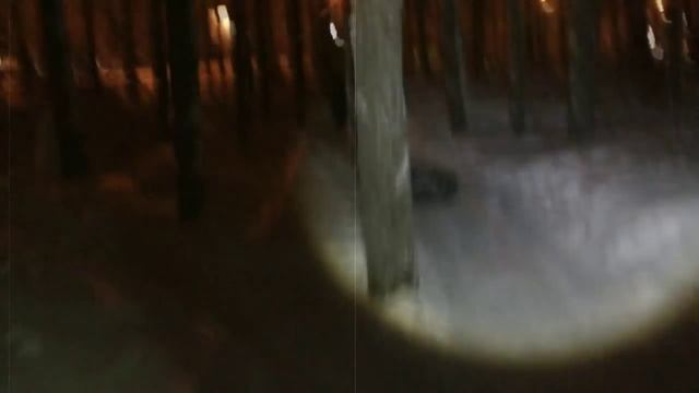 Ночной бег по лесу с покрышкой (Томск) смотреть онлайн