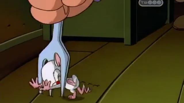 Пинки и Брейн. Портной и мыши. (Pinky and Brain. Tailor mice) смотреть онлайн