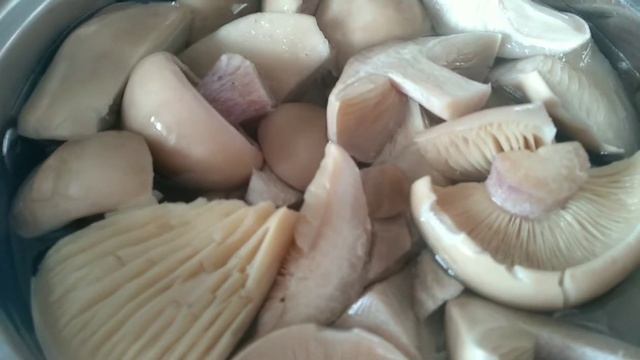 Грибы синии ножки на зиму вкуснейший рецепт