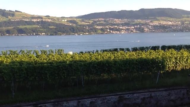 Вид из Stäfa на Züruchsee (Цюрихское озеро) смотреть онлайн