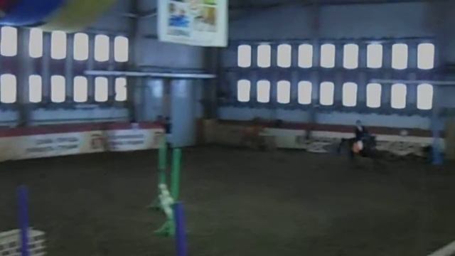 (№3)27.12.2015 КСК "Уралец" Нижний Тагил внутриклубные соревнования по конкуру смотреть онлайн