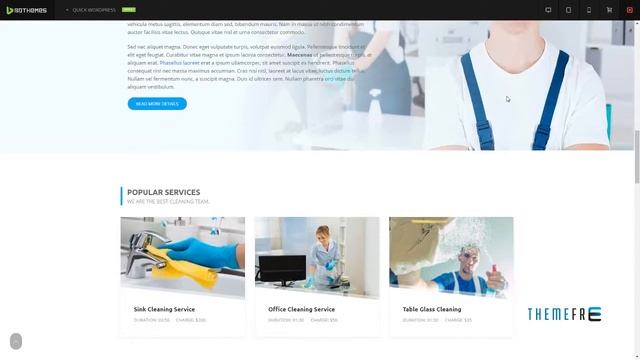 Quick - Cleaning Service WordPress Theme | Free Template Theo смотреть онлайн