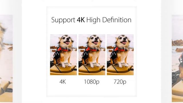 MP3 Music Player Full Zinc Alloy Lossless 256GB External Storage AUX INPHILIPS Original 2.0" смотреть онлайн