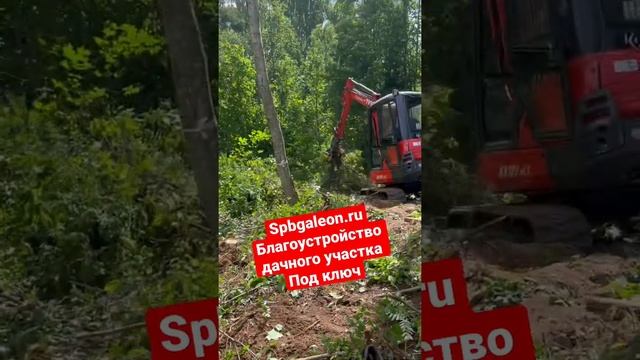 Как очистить участок от деревьев и поросли #дача #строительство #дачныйвлог #экскаватор #дачныйвлог смотреть онлайн
