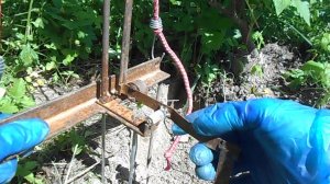 Как поймать крота . Самый эффективный способ . Кротоловка .