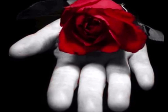 SECRETS OF MY HEART ( Ernesto Cortazar )_x264 смотреть онлайн