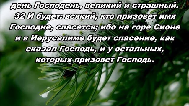 Тихое время с Живой Жизнью: Иоиль 2:18-32 (28112016) смотреть онлайн