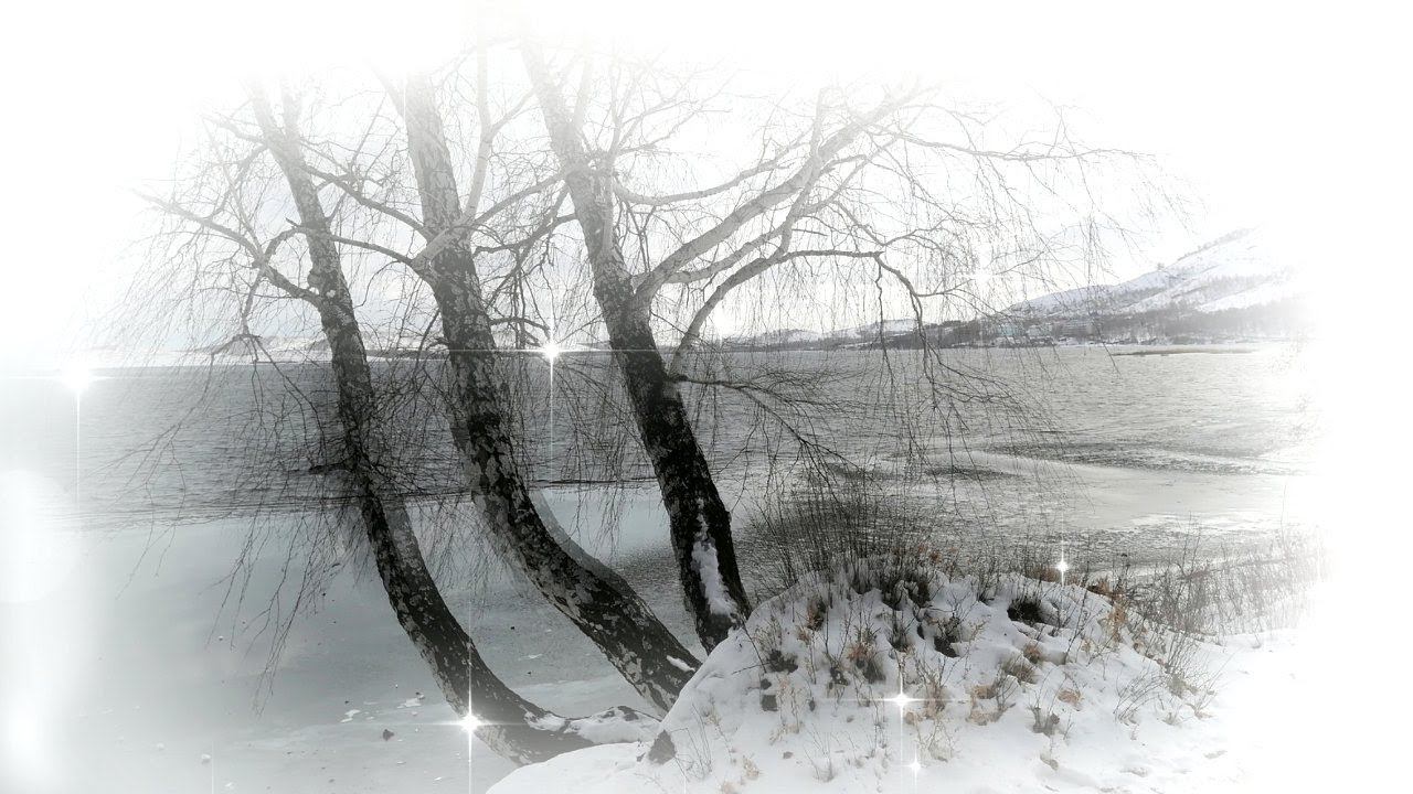 Проект ПроШоу Продюсер 