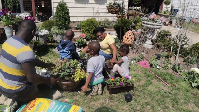 Planting Containers with the Family!| Jhuly's Aquatics & Gardening смотреть онлайн