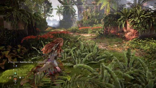 Horizon Forbidden West - PC Gameplay смотреть онлайн