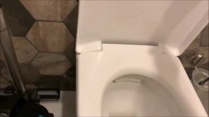 Ремонт крышки унитаза GEBERIT и аналогичных унитазов (ремонт сидушки)