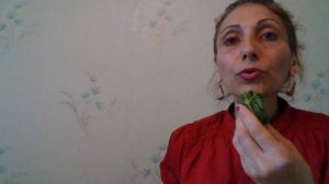 КРЕМНИЙ!НАСЫЩЕНИЕ КРЕМНИЕМ,СПОСОБ УПОТРЕБЛЕНИЯ КРАПИВЫ!