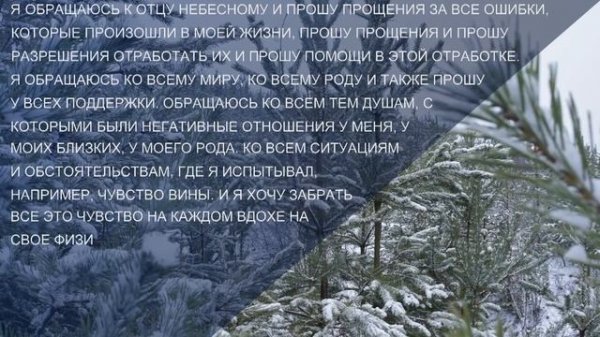 #03 Бальзам для позвоночника. Станислав Лосев_ Как простить самого себя_ Борьба с нерешительностью