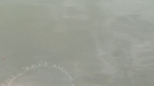 Кучугуры 24.06.2021, медузы. Ч. 2. смотреть онлайн