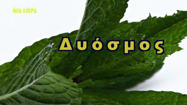 Τροφές που καταπολεμούν τους ιούς / Antiviral Foods смотреть онлайн