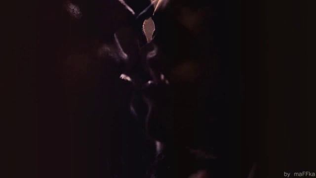 Stefan/Elena - Don't Go, Just Stay