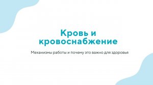 Вебинар «Кровь и кровоснабжение» - 20.03.24