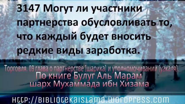 3147 Могут ли участники партнерства обусловливать то, что каждый будет вносить редкие виды заработк смотреть онлайн