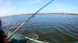 Ловля сазана на озере Чаны