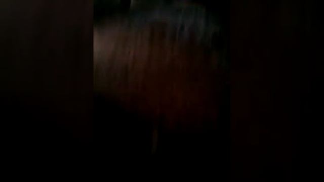 Влог:* Заброшки немножко смотреть онлайн