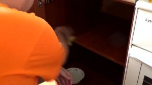 Что за жучки живут в муке и крупах. Как я избавился от мукоедов?