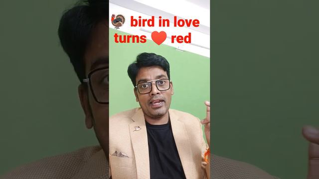 #Fact 121 Turkey 🦃 birds neck turns red in love 😍😘 #facts #amazingfacts #strangefacts смотреть онлайн