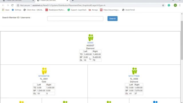 MLM Software Member Genealogy Demo смотреть онлайн