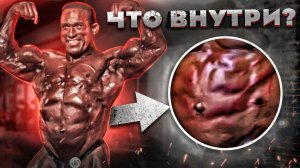 БЕРЕМЕННЫЙ БОДИБИЛДЕР ДЕЙВ ПАЛУМБО