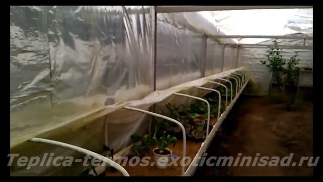 Теплица термос без отопления зимой- Эксперимент часть третья апрель смотреть онлайн