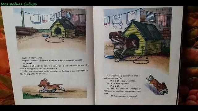 Любимые сказки. Кто сказал МЯУ? В.Сутеев смотреть онлайн