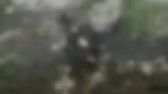 История ПК хишник. смотреть онлайн