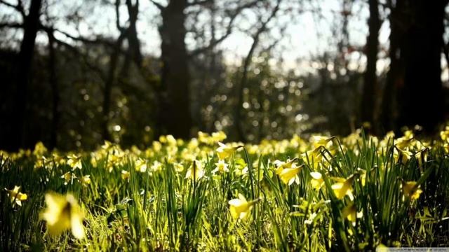 ПРОБНЫЙ РАЗГОВОРНЫЙ СТРИМ (ЖДЁМ ВЫЛЕТА КОМПЬЮТЕРА) смотреть онлайн