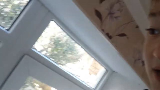 попала птица наш дом смотреть онлайн