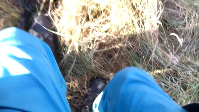 Разведываем места / Монеты Царской России смотреть онлайн