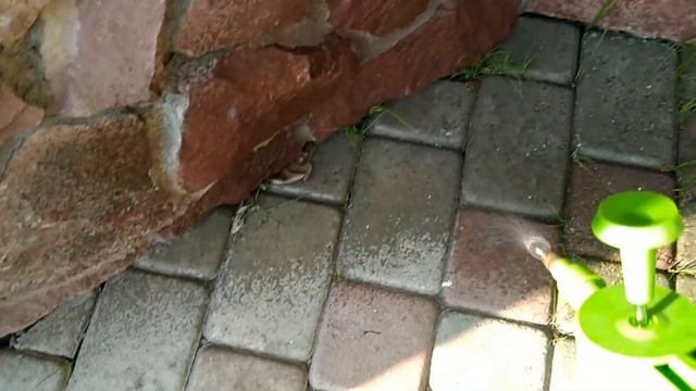 ИЗБАВИТСЯ И УБРАТЬ ТРАВУ С ПЛИТКИ. смотреть онлайн