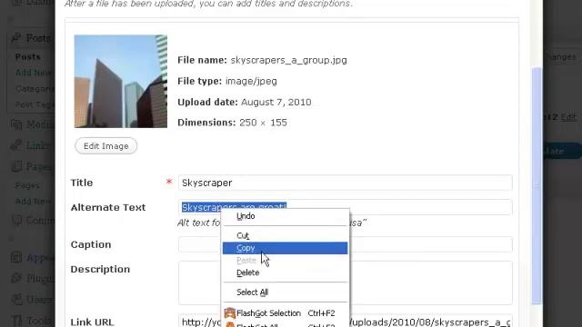 Insert Images or Video in WordPress смотреть онлайн