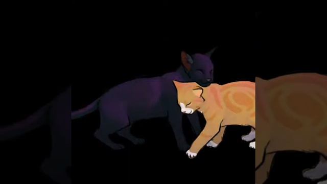Коты воители Грач и Листвичка смотреть онлайн