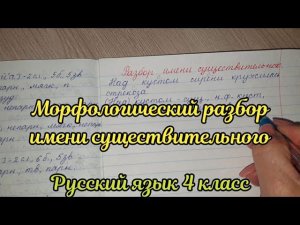 Морфологический разбор имени существительного