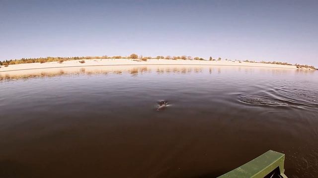 Лучшая приманка на жереха. Пилькеры Mottomo Metal Blade смотреть онлайн