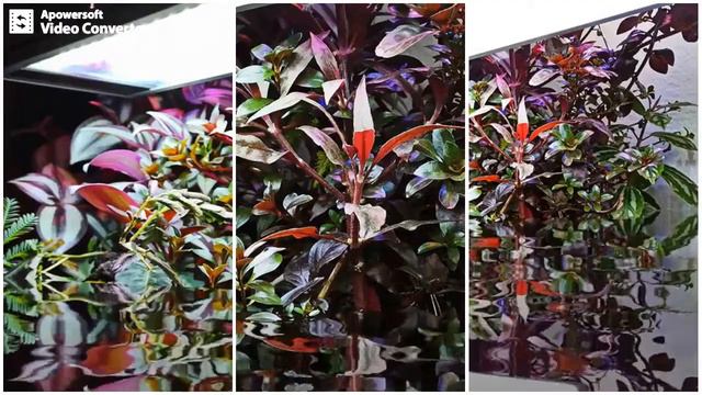 BUCE --splitscreen -- 2020.02.28- смотреть онлайн
