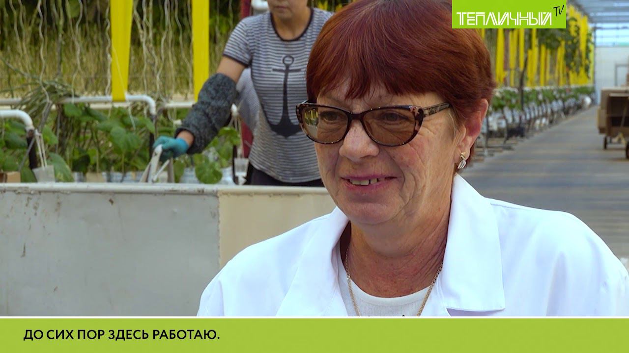 "Тепличный TV". Выпуск 12 смотреть онлайн