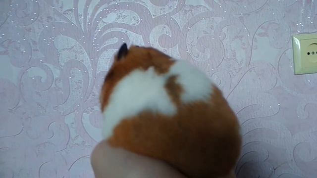 ХОМЯК ВПАЛ В СПЯЧКУ Спячка хомяков КАК ПРИРУЧИТЬ ХОМЯКОВ Впадают ли хомяки в спячку ДОМАШНИЕ ХОМЯК смотреть онлайн